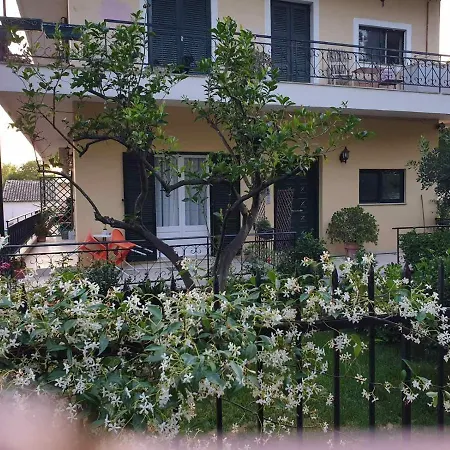 Meadowview Spacious Renovated Ground Floor Studio Analipsis  Exterior photo