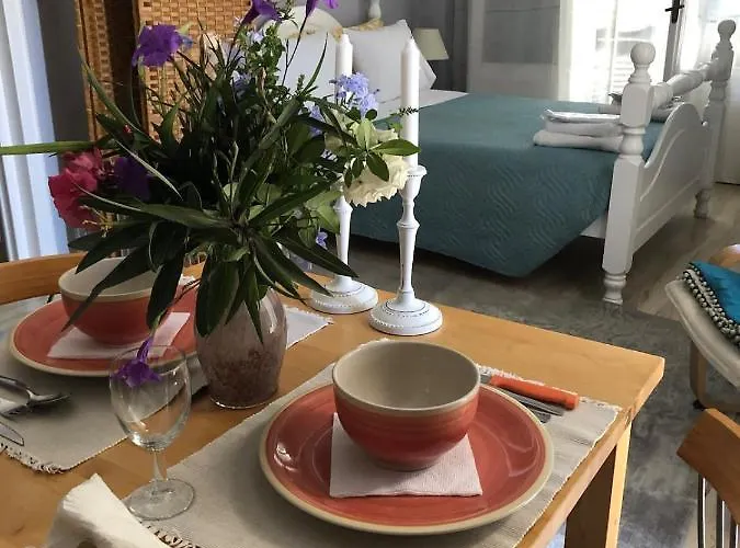 Meadowview Spacious Renovated Ground Floor Studio