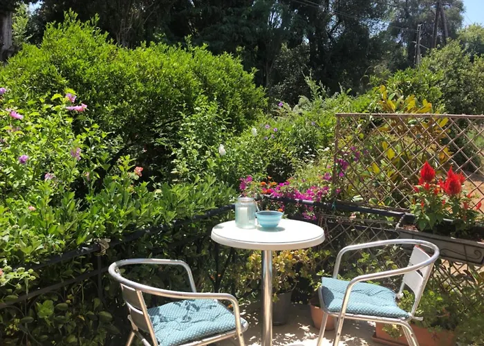 Meadowview Spacious Renovated Ground Floor Studio