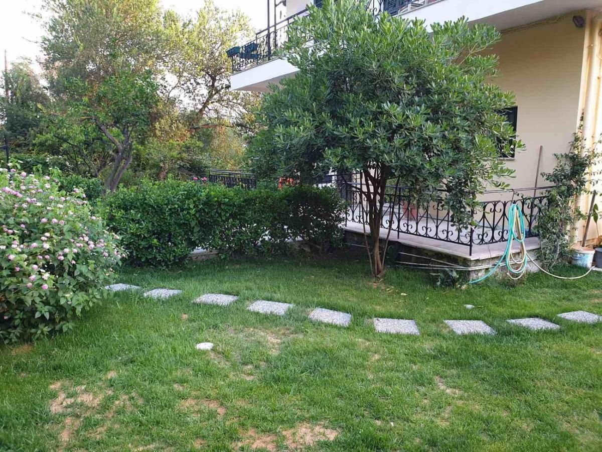 Meadowview Spacious Renovated Ground Floor *
