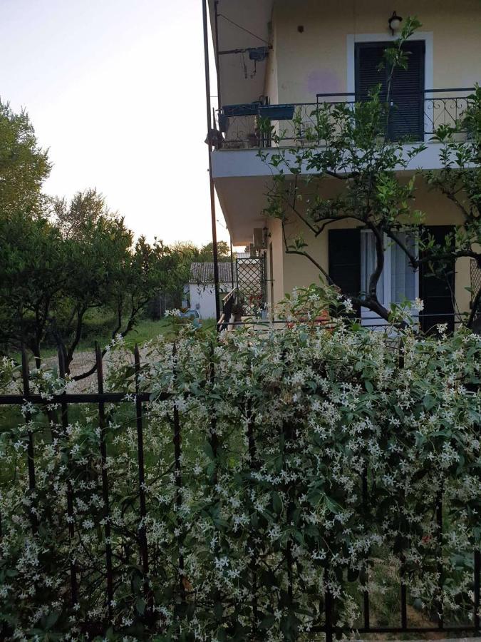Meadowview Spacious Renovated Ground Floor *
