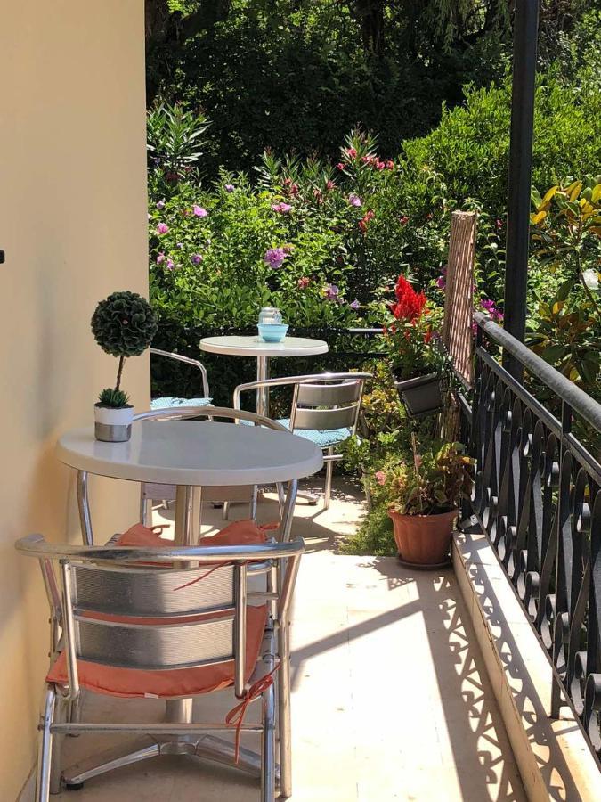 Meadowview Spacious Renovated Ground Floor *