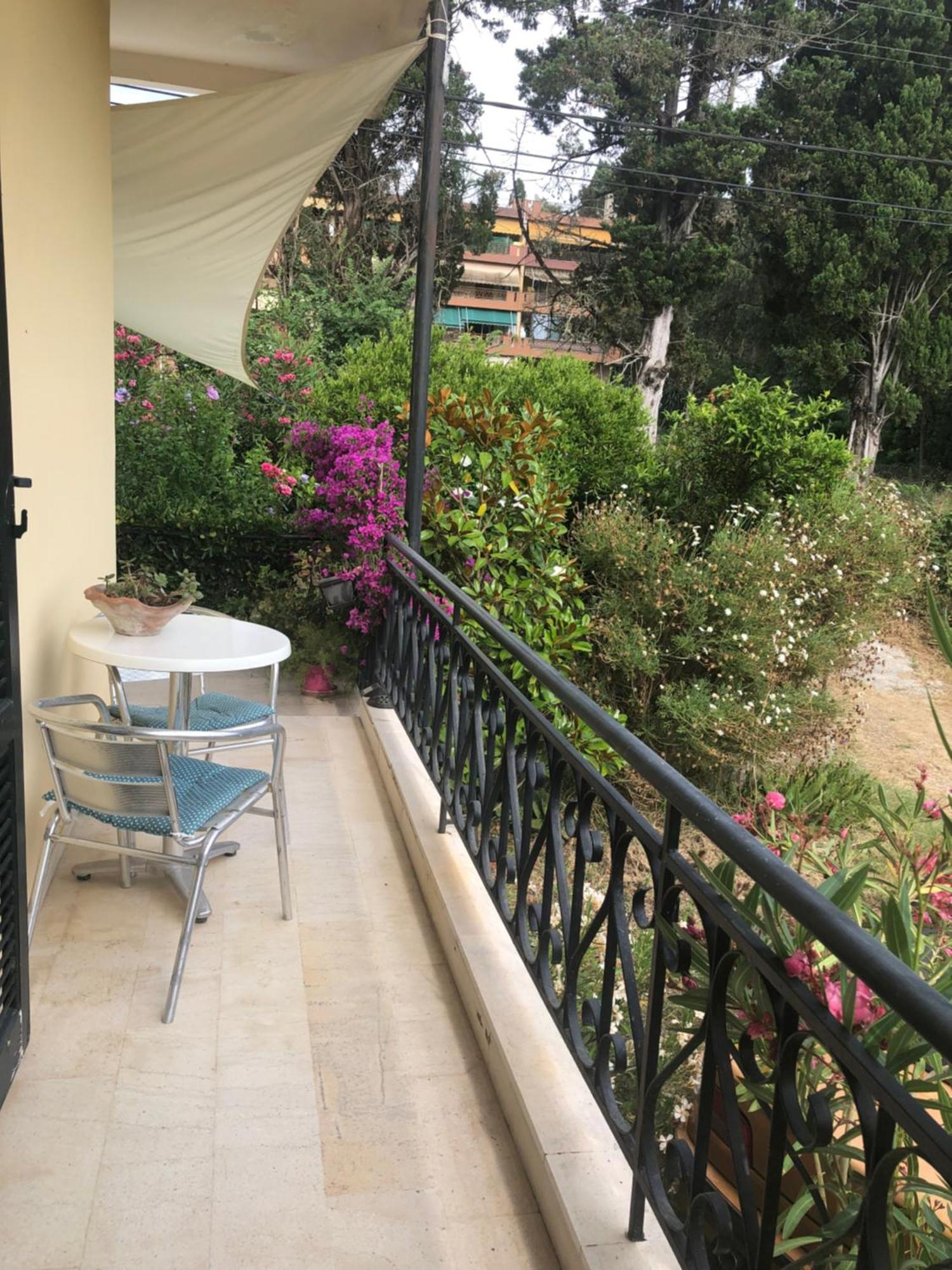 Apartment Meadowview Spacious Renovated Ground Floor *